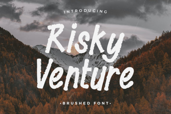 Risky Venture: When Bold Geometry Meets Professional Craft
