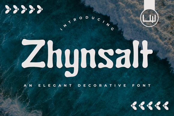 Zhynsalt: A Display Font Built for Campaign Impact